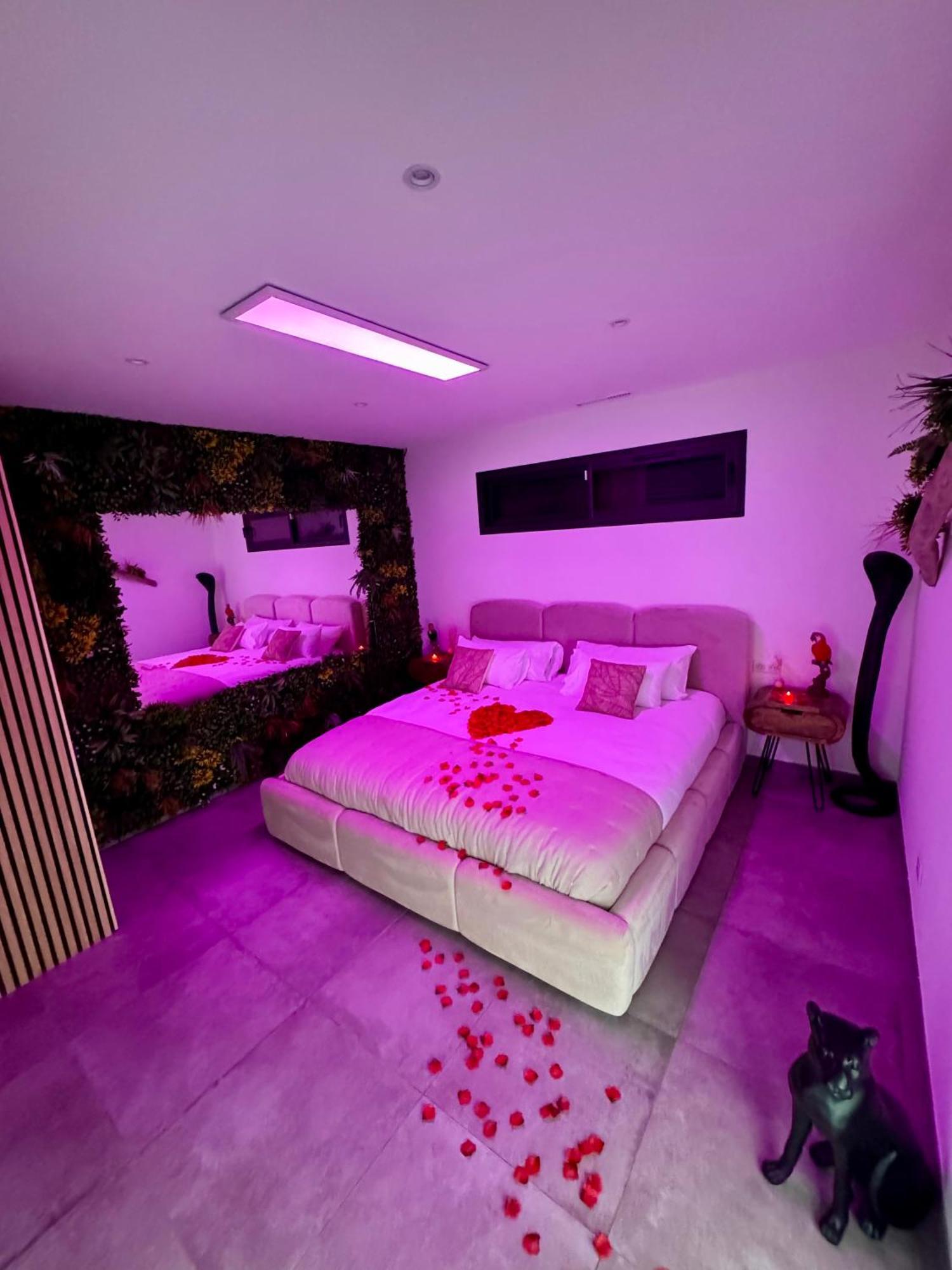 Reve D Amazonie & Spa Les Mages Dış mekan fotoğraf